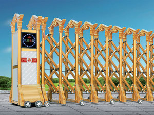 ZM-DDM-008